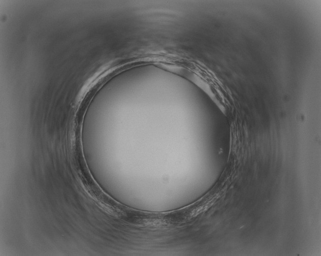 X0000083610344200703121608