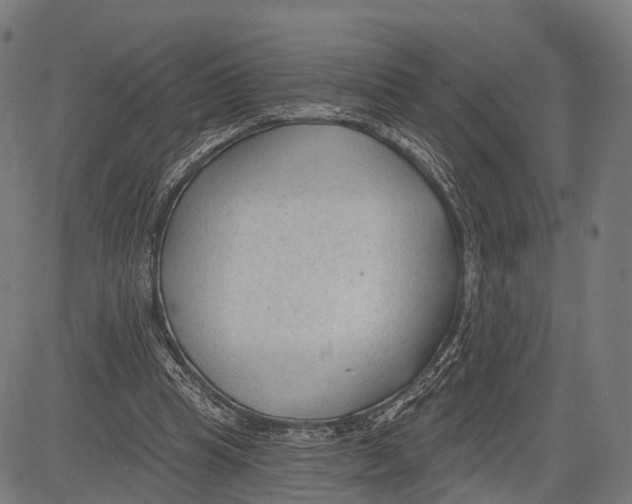 X0000083610345200703121608