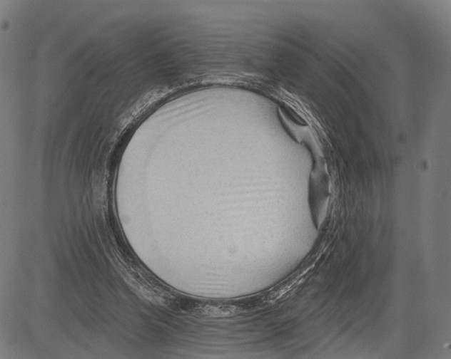 X0000083610346200703121608