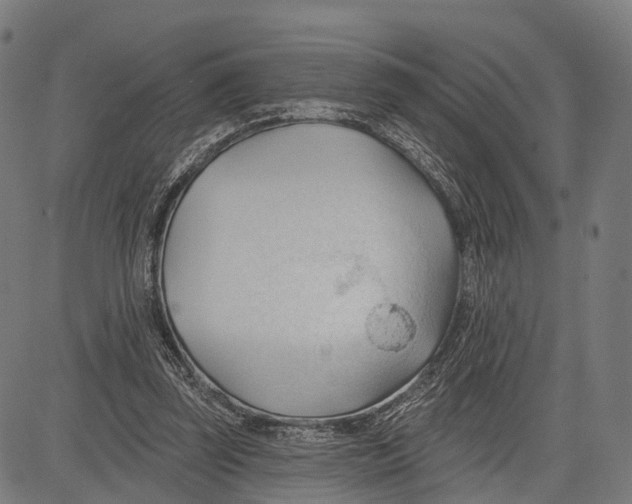 X0000083610347200703121608