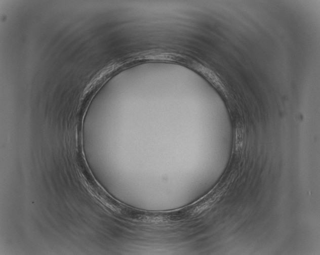 X0000083610349200703121608