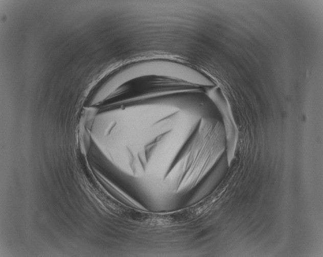 X0000083610350200703121608