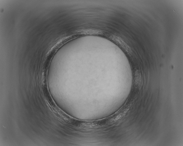 X0000083610351200703121608