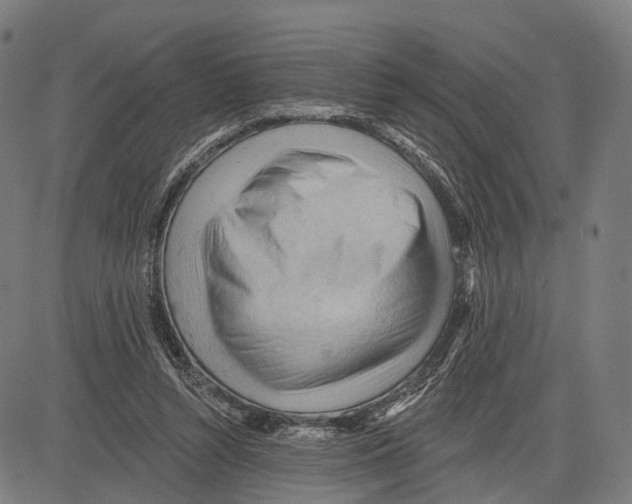 X0000083610352200703121608