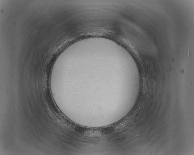 X0000083610354200703121608