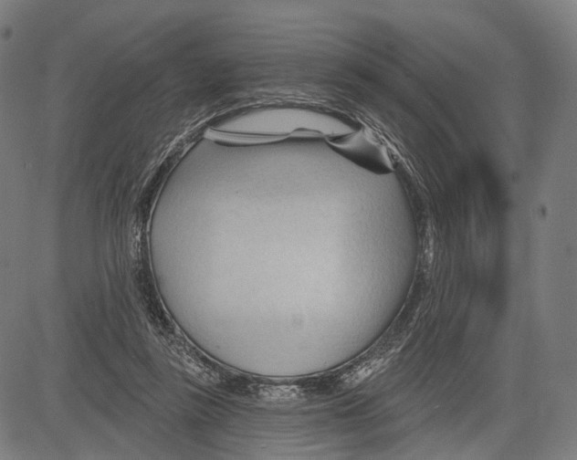 X0000083610355200703121608