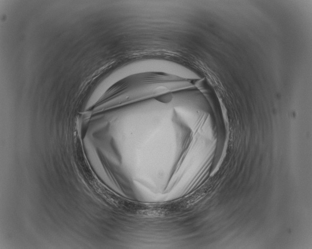 X0000083610356200703121608