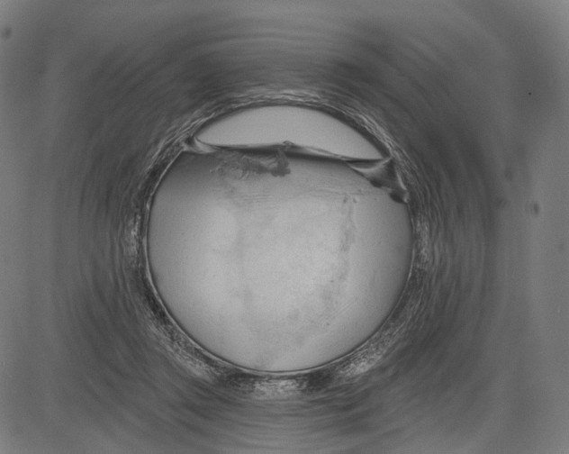 X0000083610357200703121608