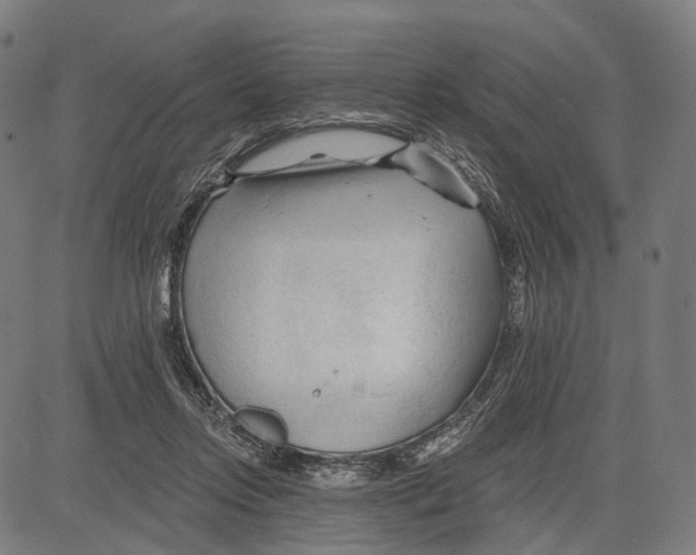 X0000083610358200703121608