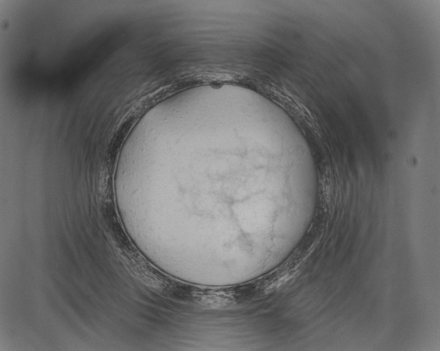 X0000083610359200703121608