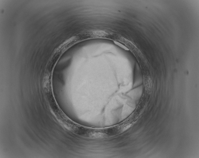 X0000083610360200703121608