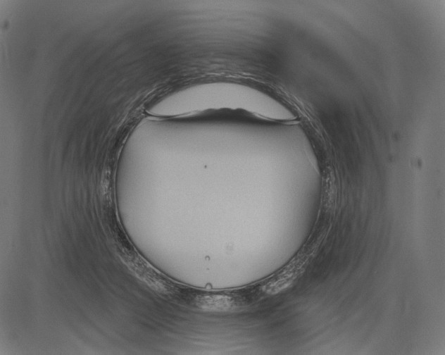 X0000083610361200703121608