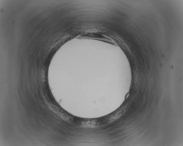 X0000083610362200703121608