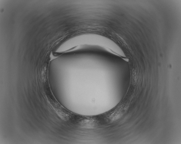 X0000083610364200703121608