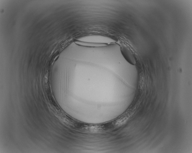 X0000083610365200703121608