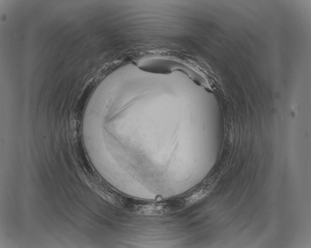 X0000083610366200703121608