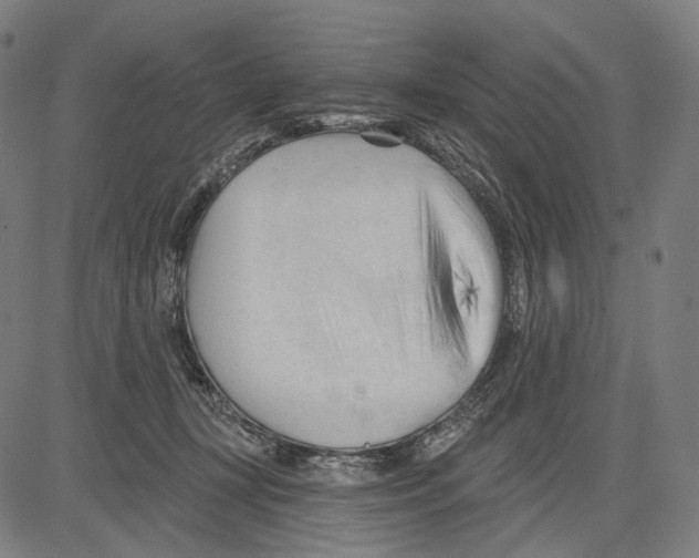 X0000083610367200703121609