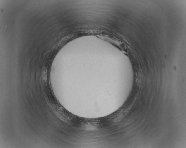 X0000083610368200703121609