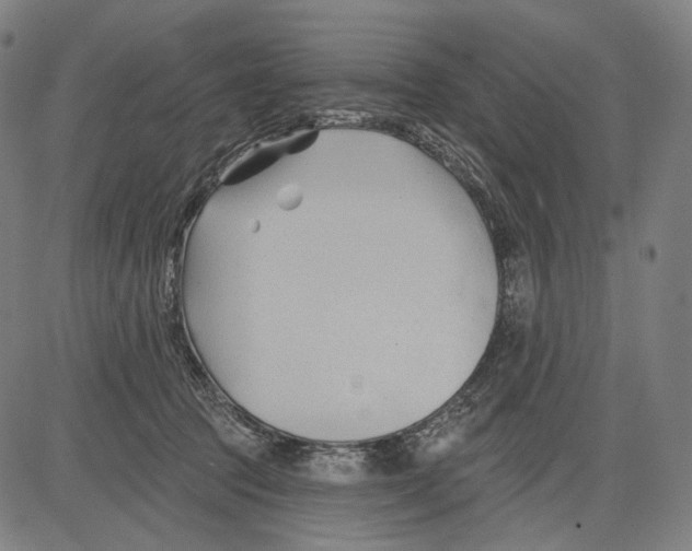 X0000083610369200703121609