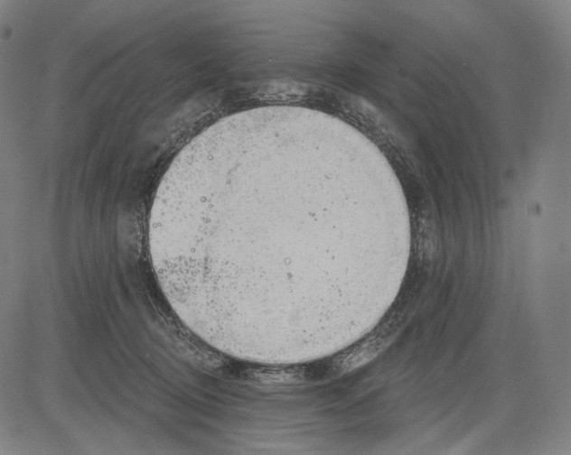 X0000083610370200703121609