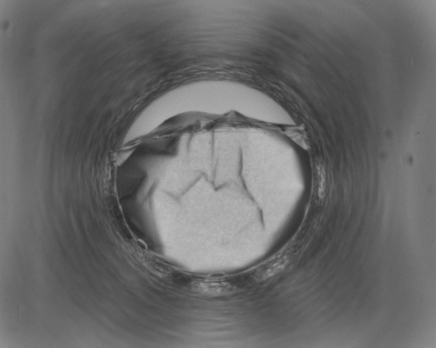 X0000083610372200703121609