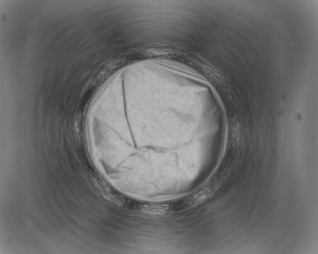 X0000083610373200703121609