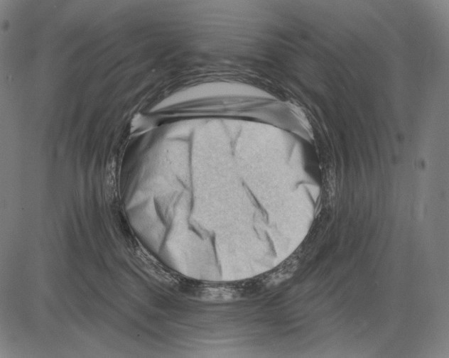 X0000083610376200703121609