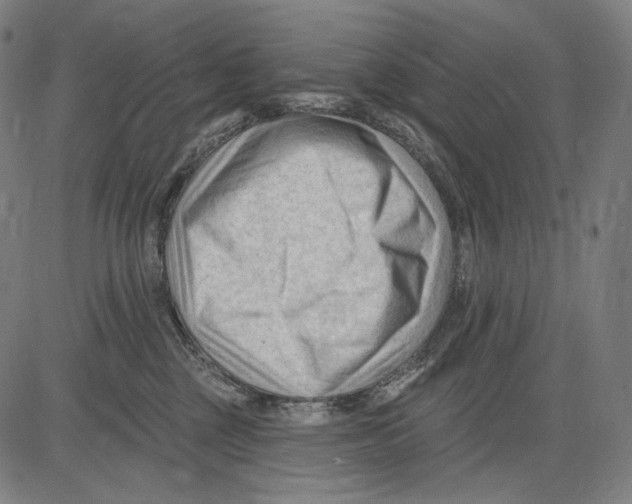 X0000083610377200703121609