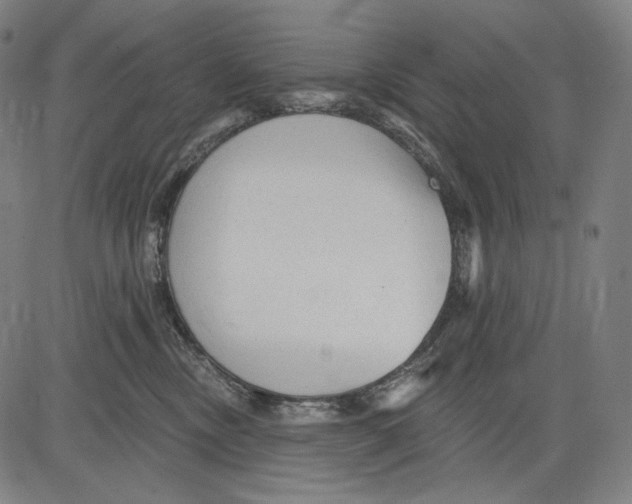 X0000083610378200703121609