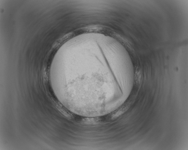 X0000083610381200703121609