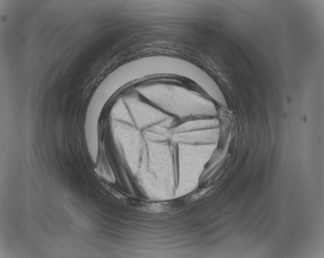 X0000083610382200703121609