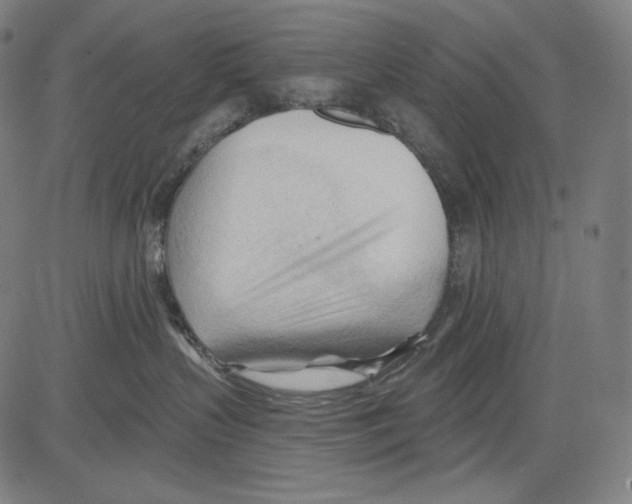 X0000083610383200703121609