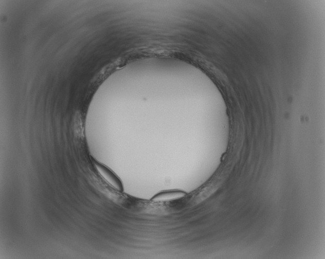 X0000083610384200703121609