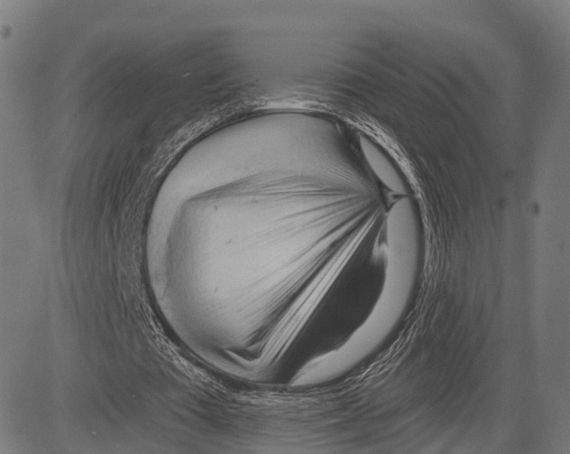 X0000083610385200703121608