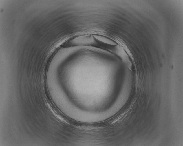 X0000083610389200703121608