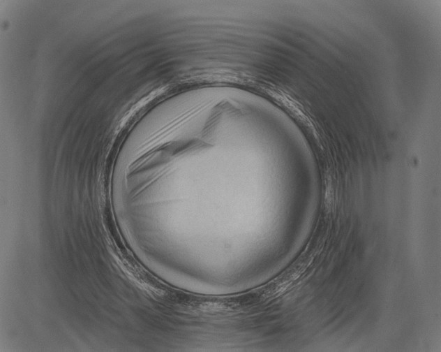 X0000083610390200703121608