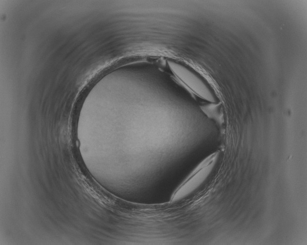 X0000083610391200703121608