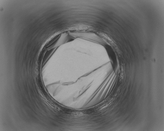 X0000083610392200703121608