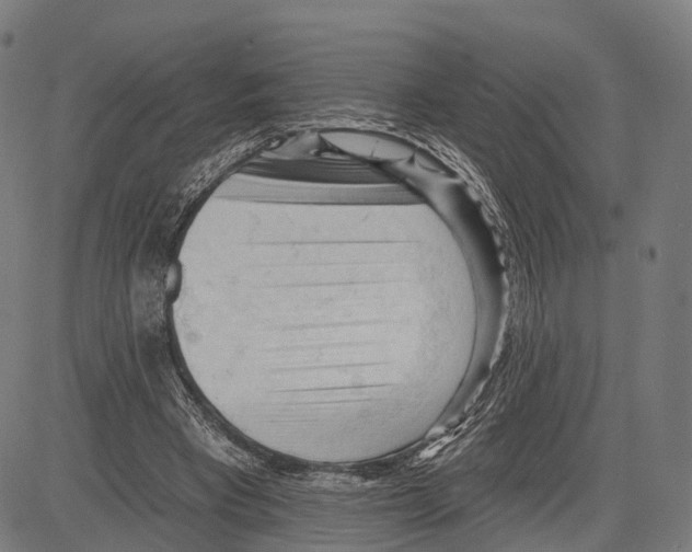 X0000083610393200703121608