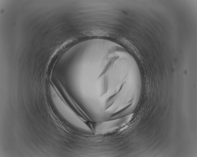 X0000083610395200703121608