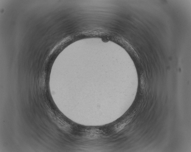 X0000083610396200703121608