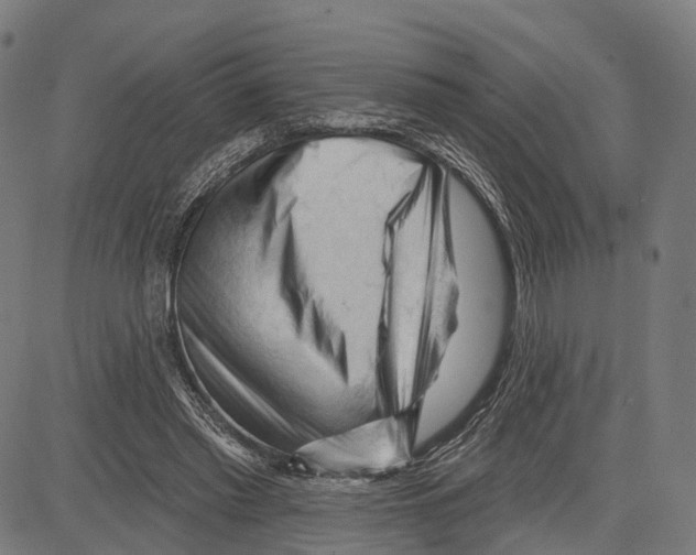 X0000083610397200703121608