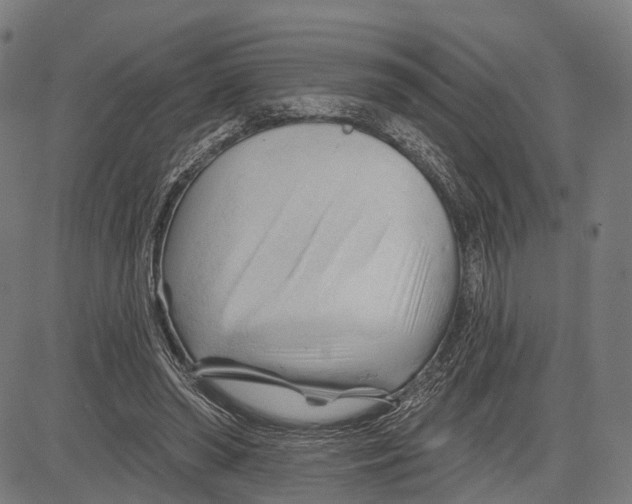 X0000083610398200703121608