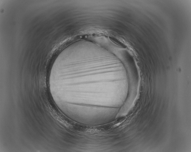 X0000083610399200703121608