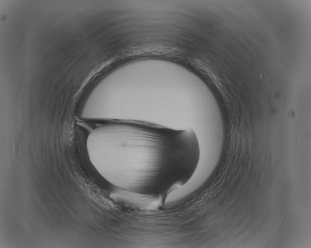 X0000083610400200703121608