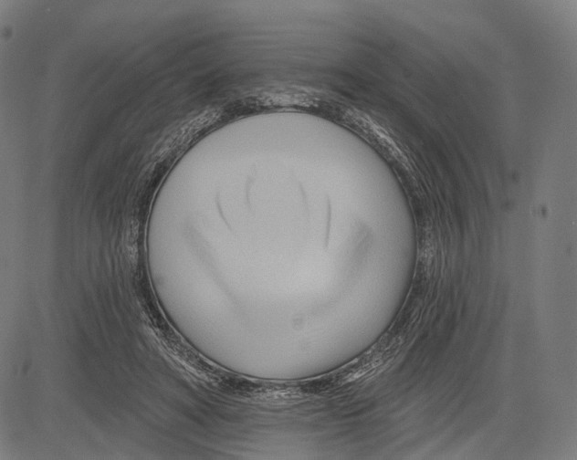 X0000083610402200703121608