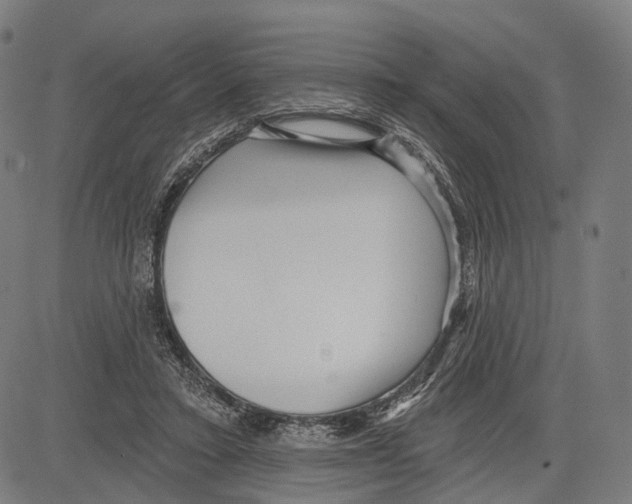 X0000083610403200703121608