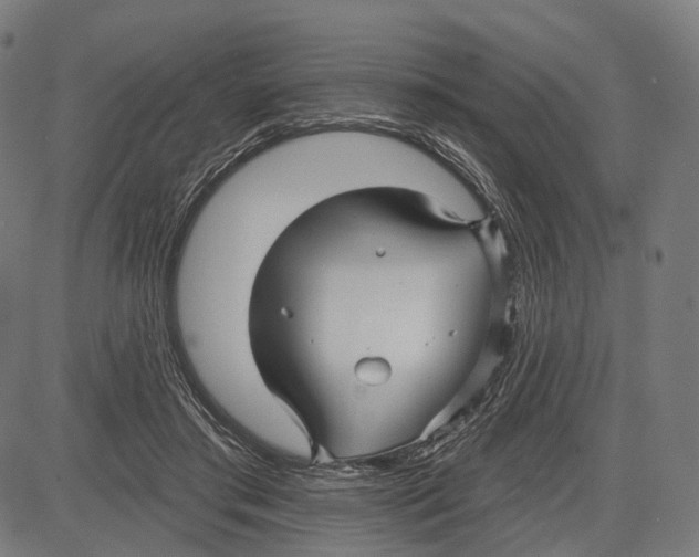 X0000083610405200703121608