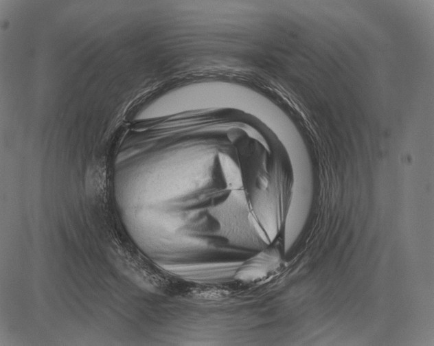 X0000083610407200703121608