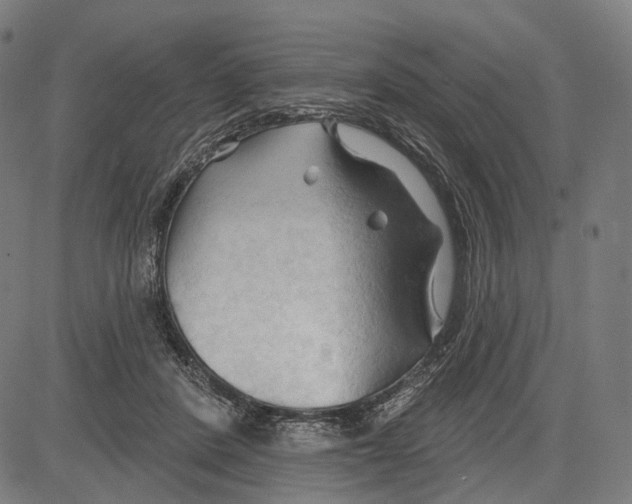 X0000083610408200703121608